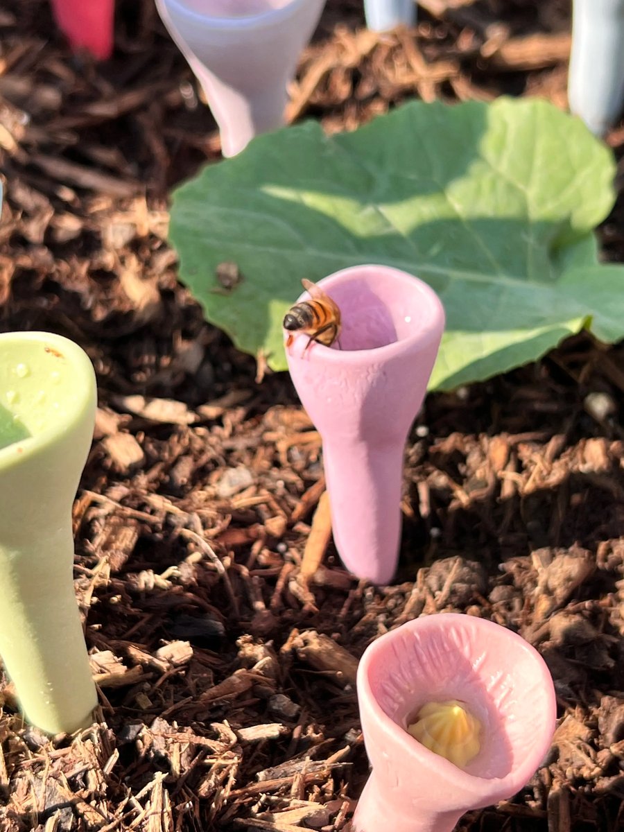 Close-up of a pink BeeCup with water for bees