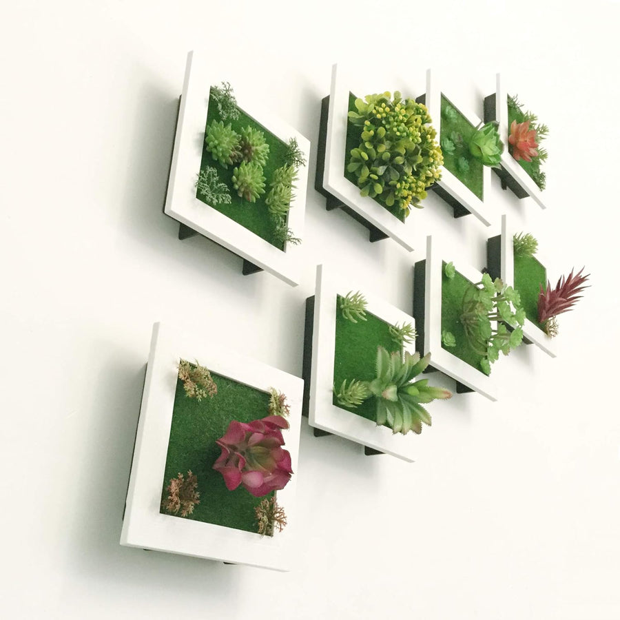 Wall display of eight plant frames arranged together