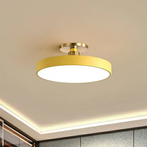 Detail of the ceiling light's clean, rounded shape