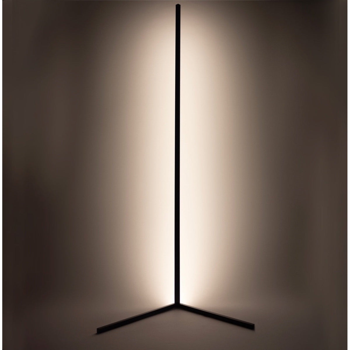 Modern black corner floor lamp standing in a living room