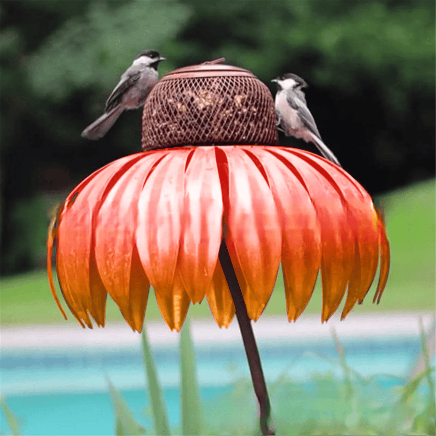 Bird feeder in garden setting attracting birds