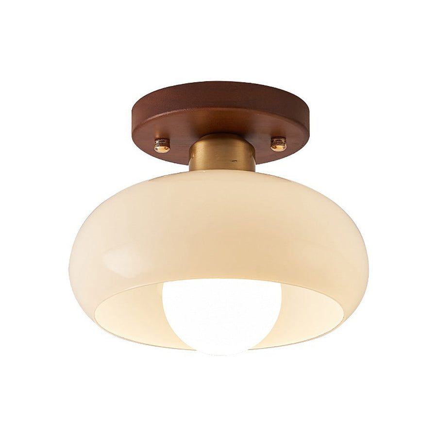 Full view of the ceiling lamp with mounting plate