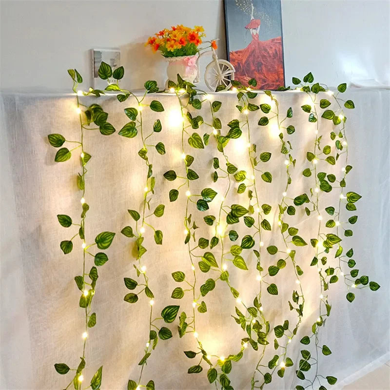 String lights draped along a garden fence