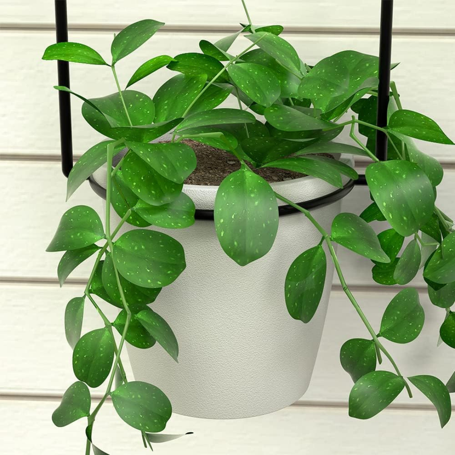 Hanging planter with plant hanging in a bright living space