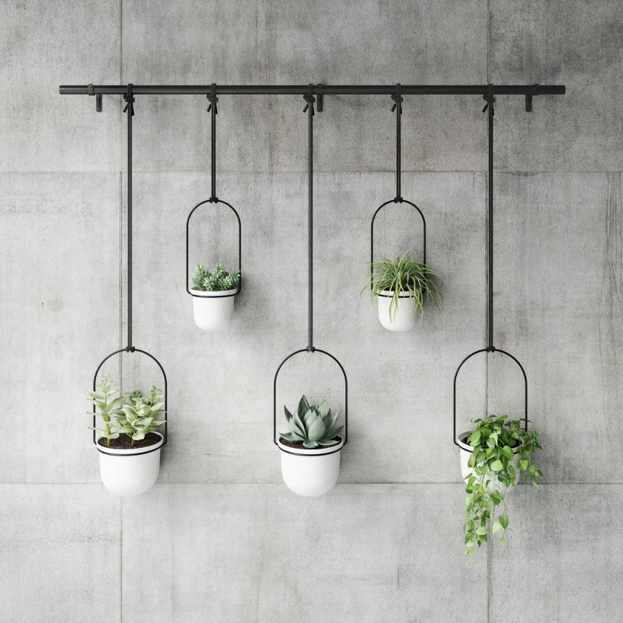 Hanging planter with a trailing green plant against a light wall