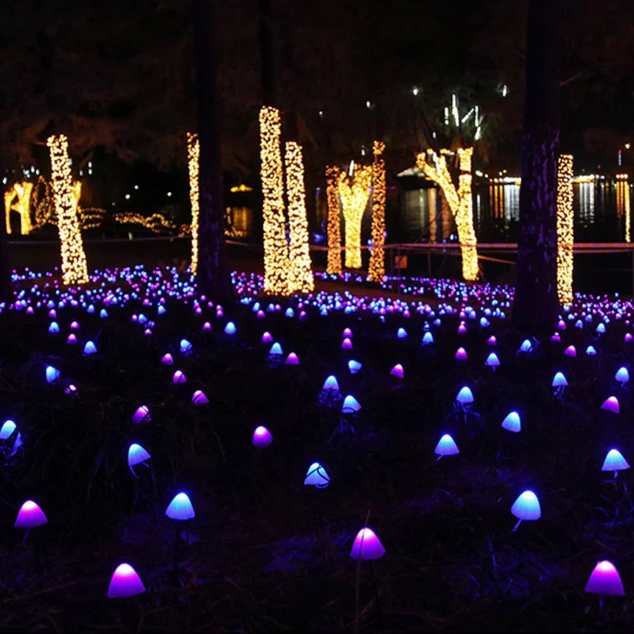 Warm white glow from solar mushroom lights at dusk