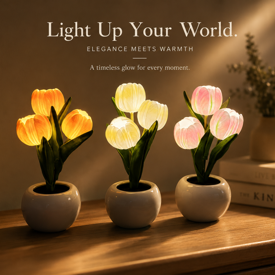 Close-up of glowing tulip petals lit from within