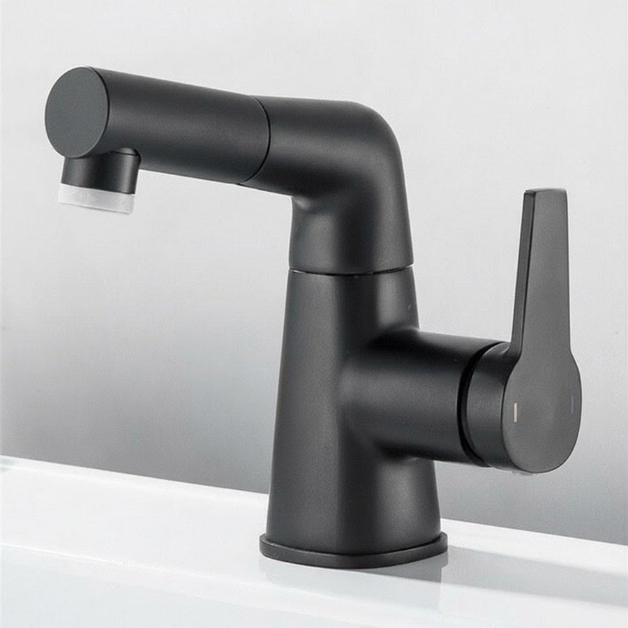 Black sink faucet with pull-out sprayer