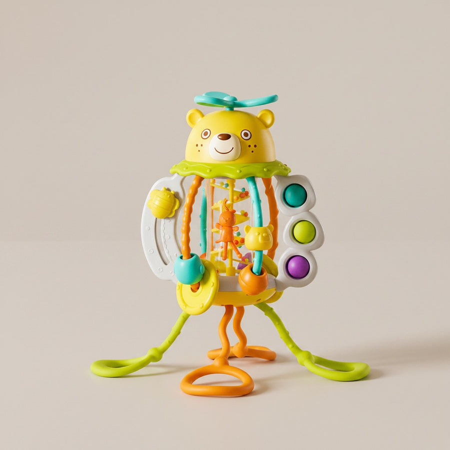 Bear activity rattle studio photo on gray background