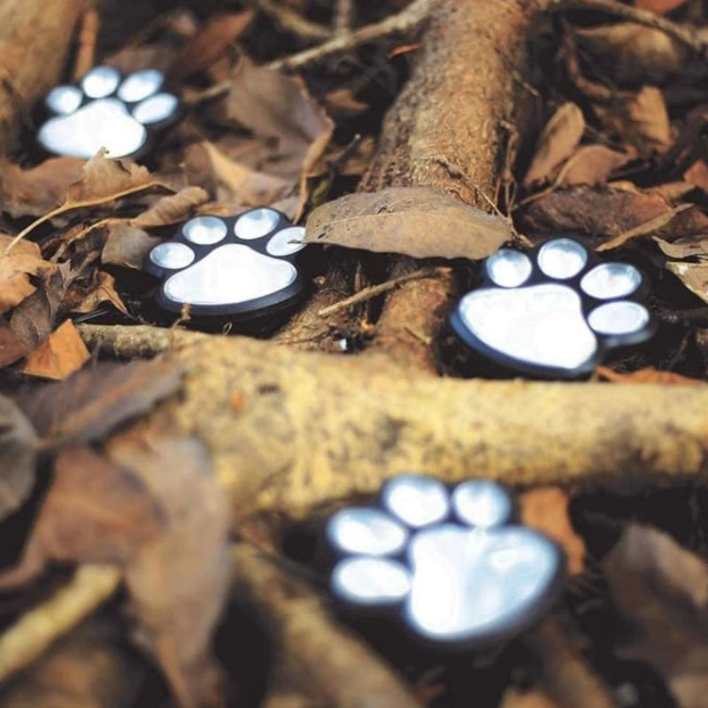 Paw-shaped solar lights resting on fall leaves with a black base