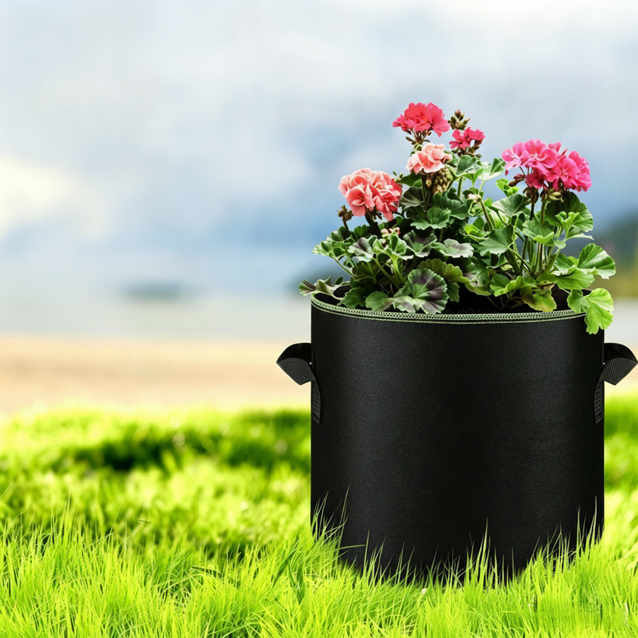 Grow bag with pink flowers on green grass