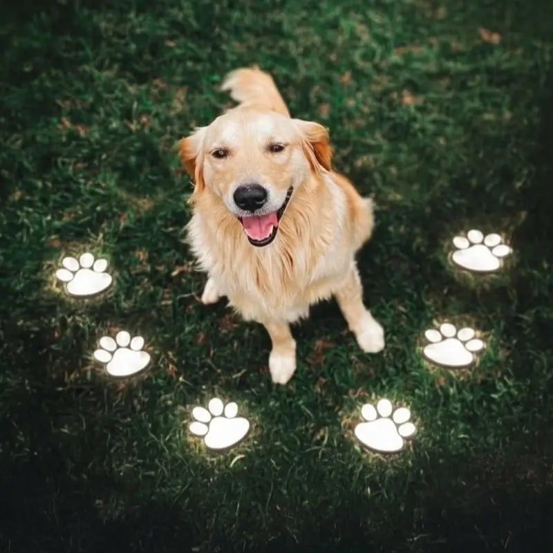 A golden retriever surrounded by glowing paw lights on the lawn