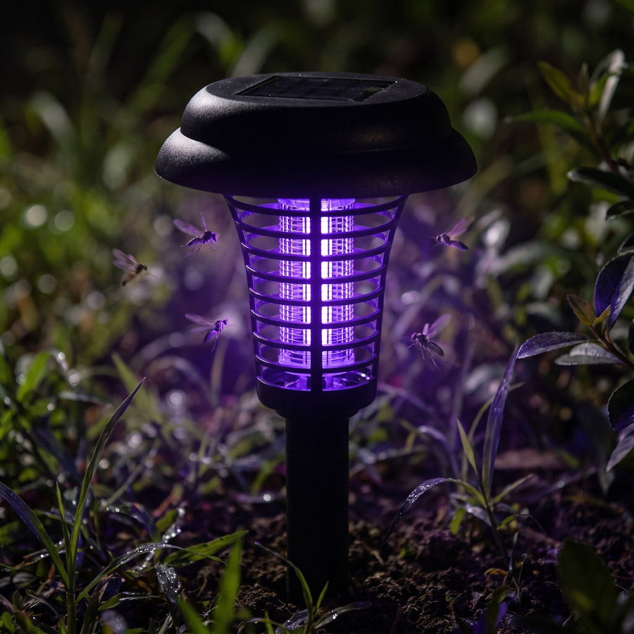 UV lamp glowing purple in a dark garden with insects nearby