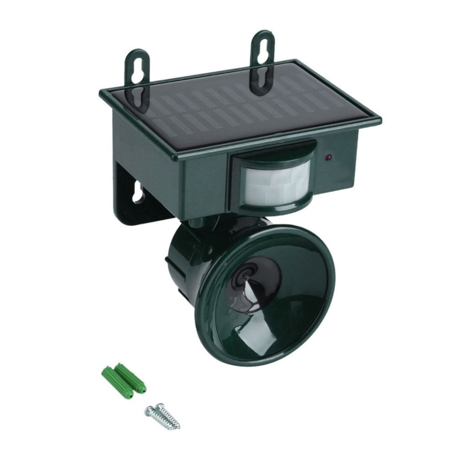 Bird repeller set up near an entryway