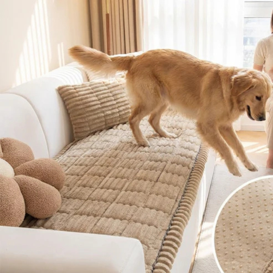 Cushion shown in coffee color on a sofa