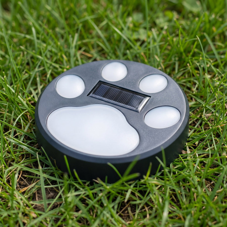 Paw light in daylight showing the solar panel and four paw pads